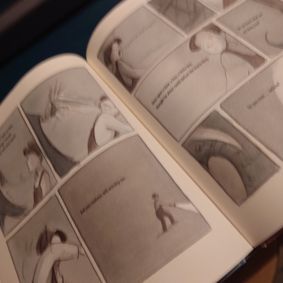 The Storm in the Barn by M.Phelan, Hardback Graphic Novel, Used - Picture 8 of 11